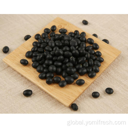 Black Bean Rice Black Bean Health Benefits Supplier
